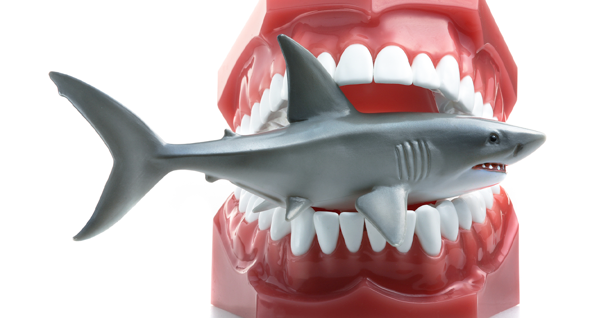 fake shark figurine inside plastic denture figure